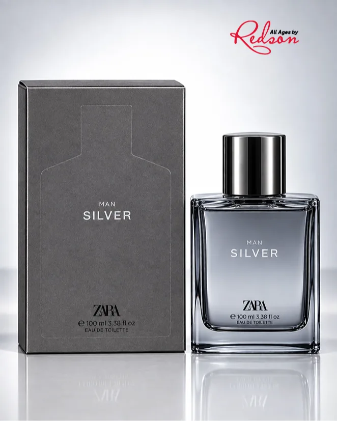 Zara Man Silver