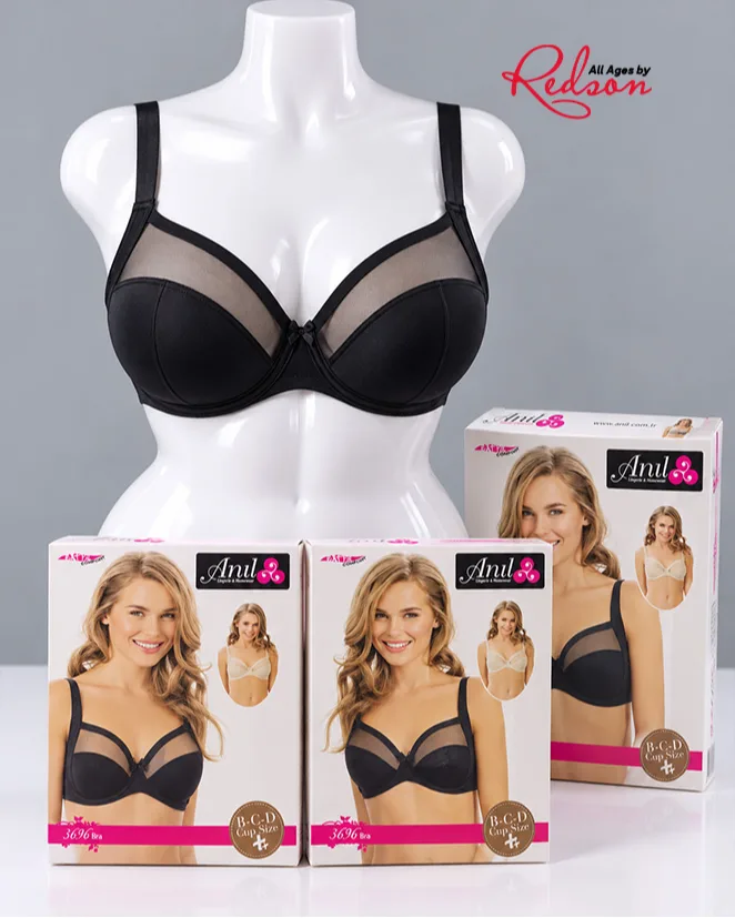 Women's Black Sheer Mesh Underwire Bra